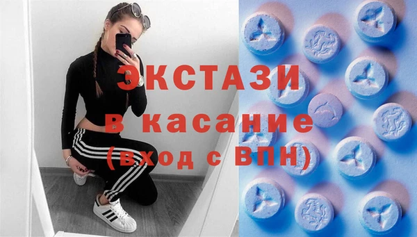 индика Верхний Тагил