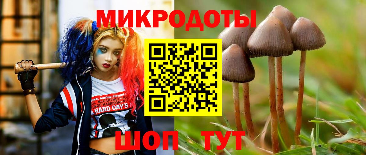 Галлюциногенные грибы Cubensis  цены   Мариинск  Галлюциногенные грибы Psilocybine cubensis  Вход с VPN 