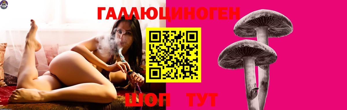 Псилоцибиновые грибы Psilocybine cubensis  Мариинск 