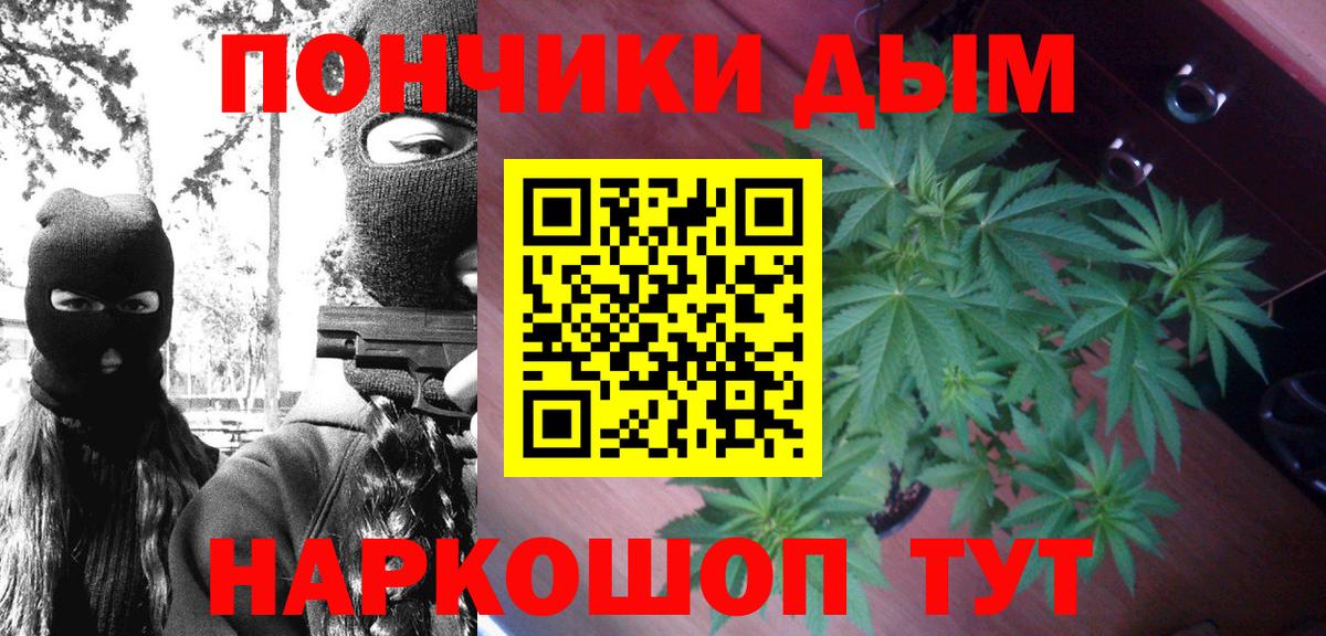 Бошки Шишки семена Мариинск